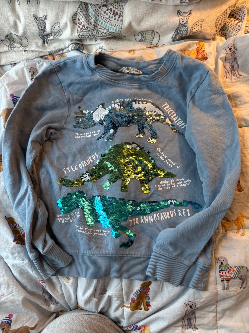 H&M sweatshirt size 6